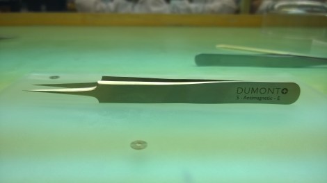 WP_20140603_10_14_32_Pro