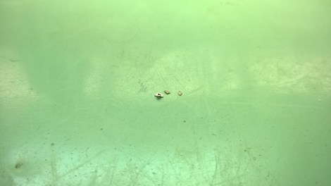 WP_20140702_13_28_52_Pro