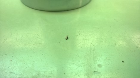 WP_20140702_13_58_58_Pro