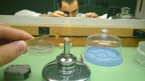 WP_20140825_15_16_26_Pro