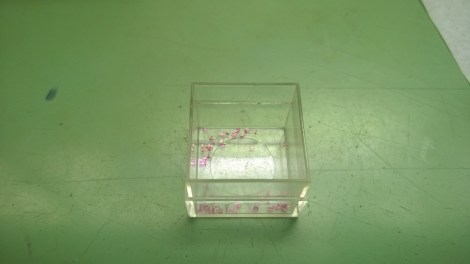 WP_20140916_09_35_12_Pro