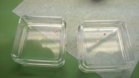 WP_20140918_14_25_04_Pro