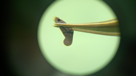 WP_20141009_14_20_47_Pro