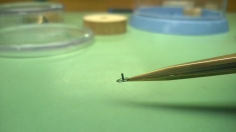 WP_20141104_09_52_33_Pro