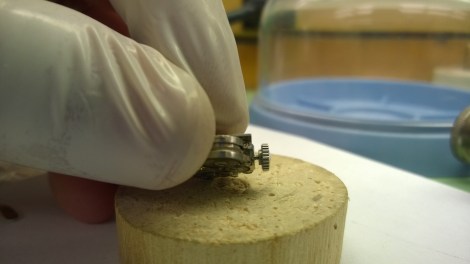 WP_20141118_08_58_45_Pro