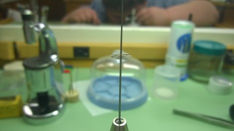 WP_20150121_10_12_04_Pro