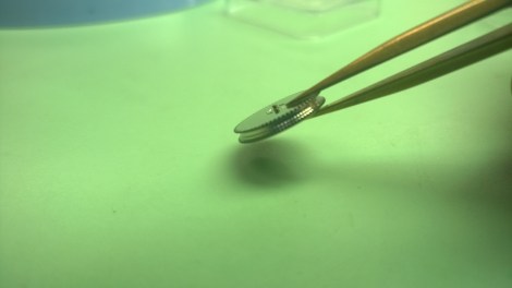 WP_20150611_11_04_28_Pro