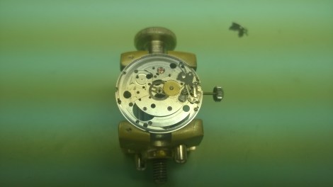 WP_20150623_07_54_53_Pro