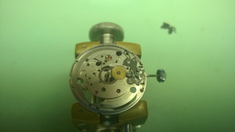 WP_20150623_07_55_13_Pro