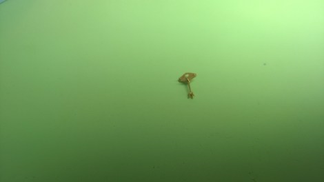 WP_20150723_08_41_43_Pro